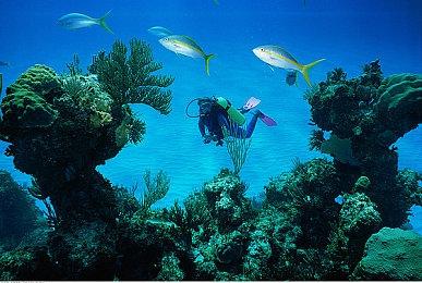 《生化危机4重制版》中配预告公布 3月24日发售